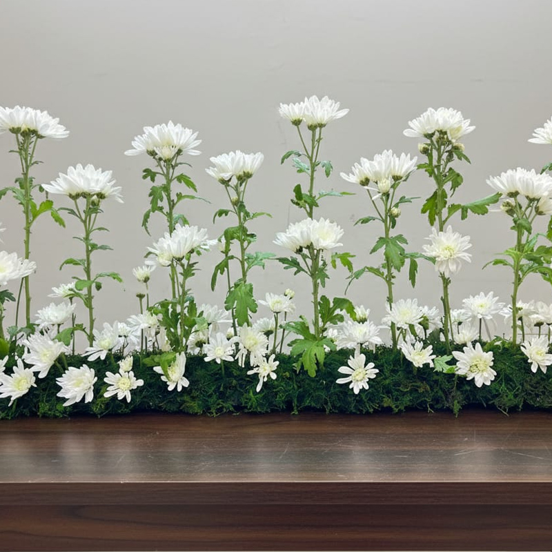 Floral Gifts for Every Occasion